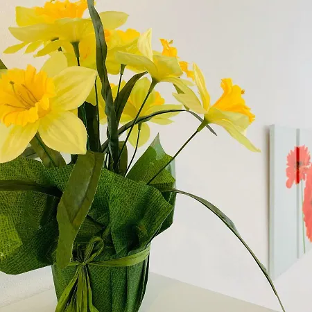 Moderner Bungalow, 20 Minuten Bis Hannover City, 24h Check-in Appartement Garbsen